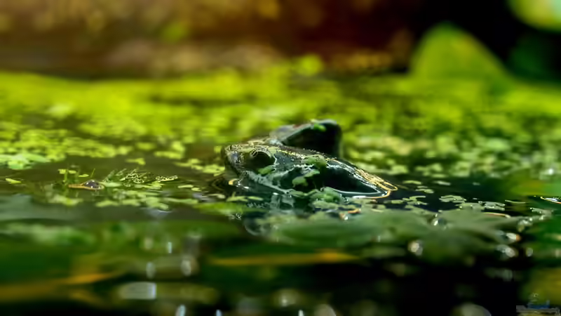 Die ganz große Liebe: Erna und Ilse von JR (17)