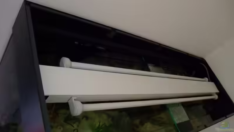 Die ganze Abdeckung von Oben ohne Querstreben und Deckel von Trooper (45)