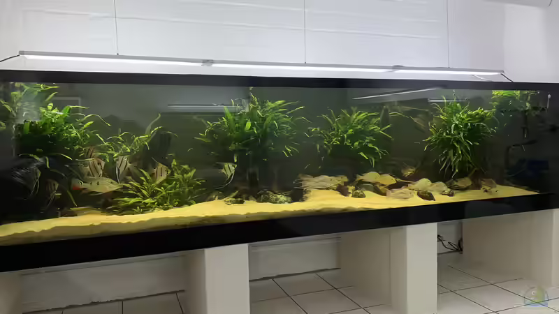 Die ganze Bande von Oliver Bartels (18)