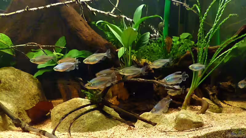 Die Ganze Gruppe komplett *26.05.2013* von lützkopf (48)