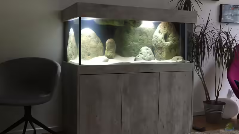 Die ganze Pracht! DiamantAquarium von Malawihude (3)