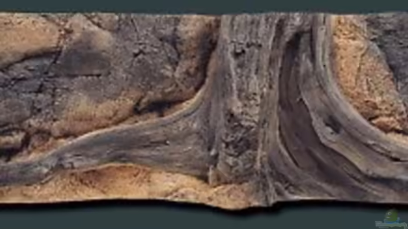 Die geplante Rückwand von Gary