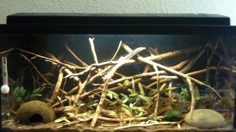 Die Gesamtansicht des Beckens von Marc P