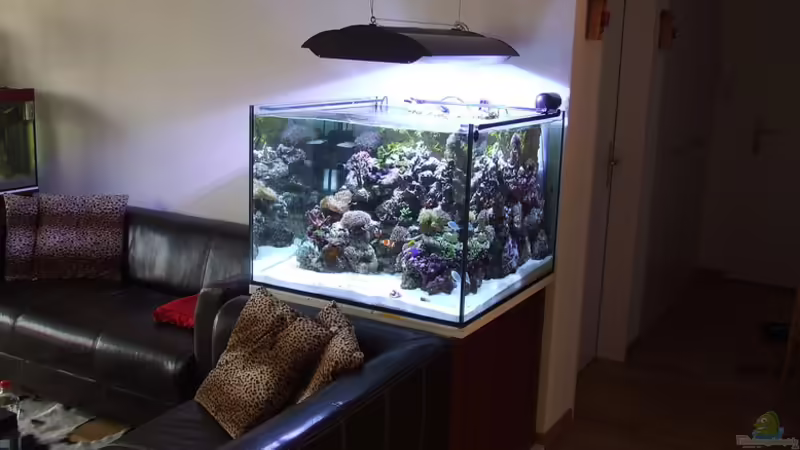 Die Gesamtansicht von Sascha Bill (1)