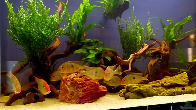 Die gesamte Truppe von Helmut Kreutmayer (5)