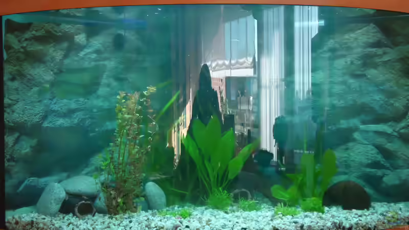 Die Gestaltung von atom010 (17)