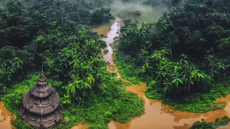 Die Gewässertypen Amazoniens