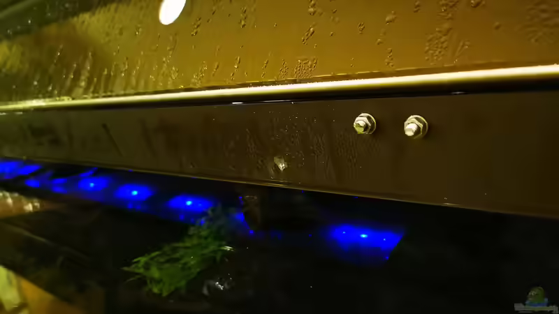 Die Gewindestangen halten mit Lochband die LEDs an Ort und Stelle von Odonata (14)