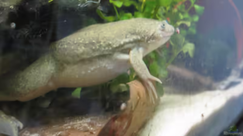 Die Gitti :) von Jenny (29)