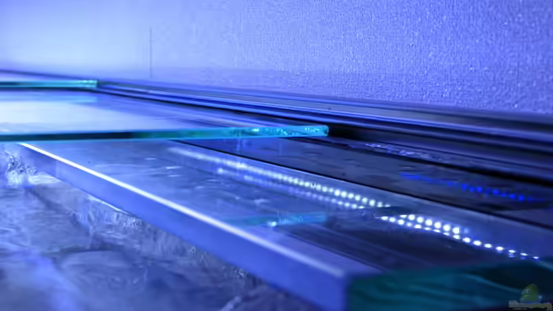 Die Glasabdeckscheiben von baumringzaehler (8)