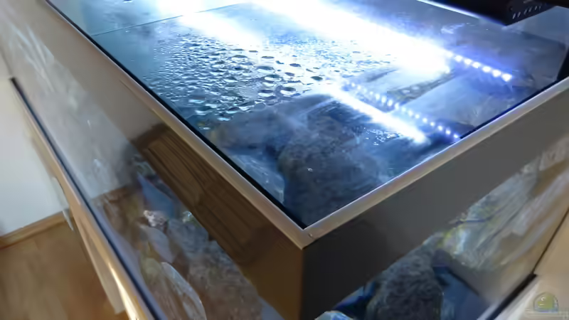 Die Glasabdeckscheiben von baumringzaehler (9)