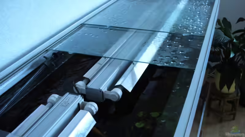 die Glasschiebeabdeckung von Blackwater (3)