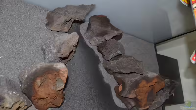 Die grobe Felsform wird gesucht von Gallius (15)