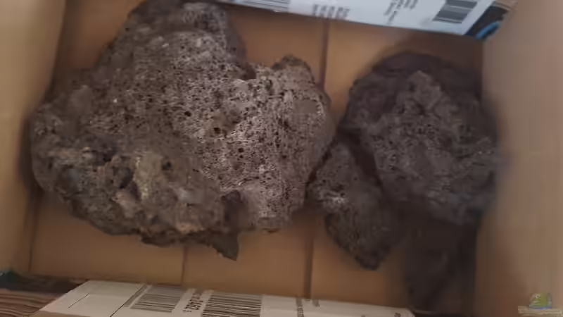 Die großen Lava Brocken von Mel (17)