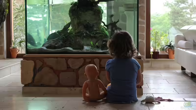 Die Gutachter.....Puppe Mara, das Töchterchen und das Kuscheltier Vivi von Jörg (2)