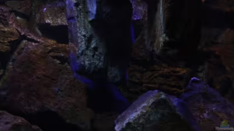 Die hängenden Steine,schön angeleuchtet!!! von Florian Bandhauer (27)