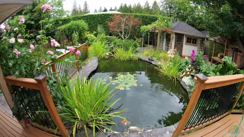 Die häufigsten Fehler am Gartenteich im Frühjahr