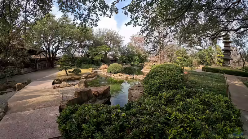 Die häufigsten Fehler am Gartenteich im Frühjahr