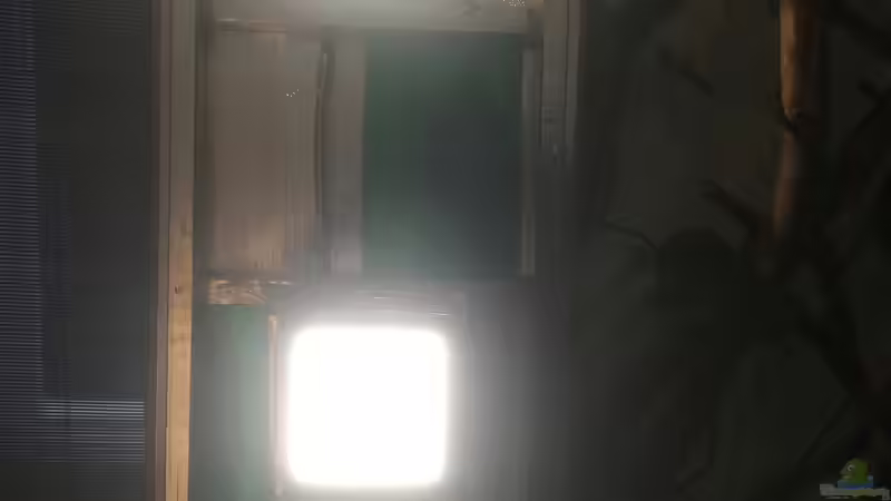 Die Hauptbeleuchtung im Deckel von Bermuda 3eck (35)