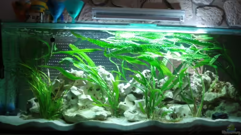 Die hinterseite...aussicht von schlafzimmer von Andre Spieler (12)