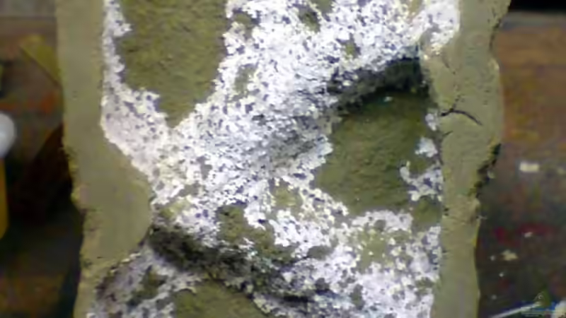 Die Hinterseite habe ich mit einem Heißluftfön komplett vom Styropor befreit. von timme (31)