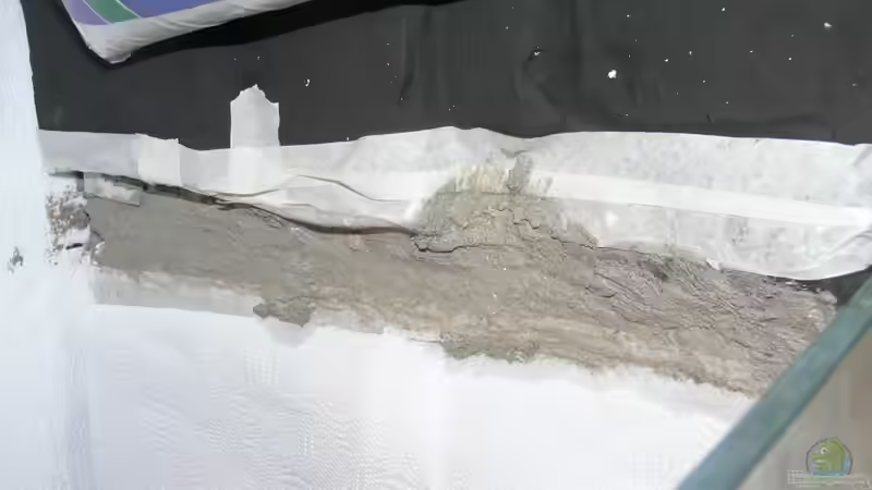 die Hochzeit der beiden Rückwandelemente von DominikZ (21)