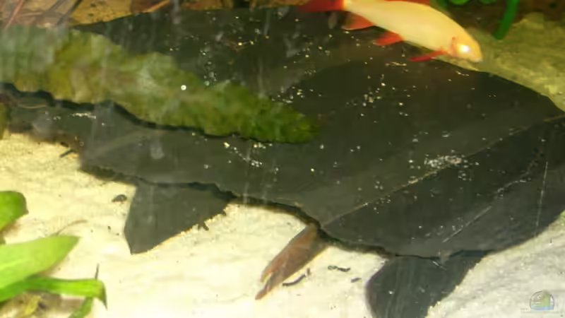 Die Höhle aus Schieferplatten von Manuela Kutschke (6)