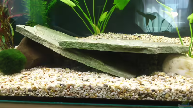 Die Höhlen nochmal in groß von Christian Kleinhenz (15)