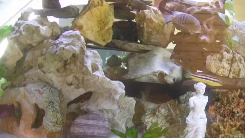 Die Höhlen von Julchen1985 (2)