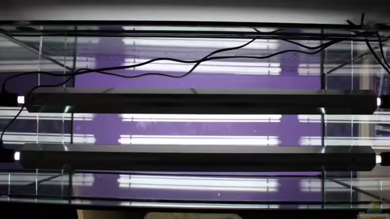 Die Innenmaße wurden genau auf die Röhrenlänge abgestimmt um das Becken optimal von @mazonas (50)