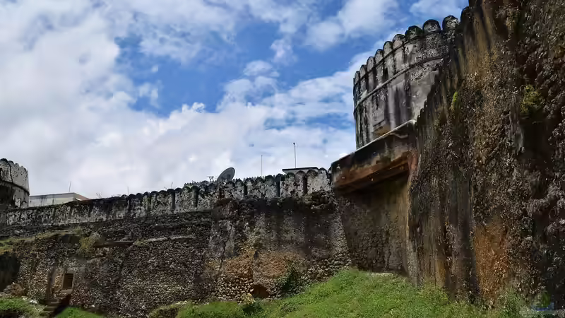 Die Inselgruppe Sansibar - Ein umfassender Leitfaden für Aquaristik- und Terraristikfreunde