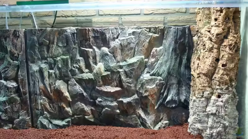 die Installation der Rückwand von Jochen Gedicke (4)