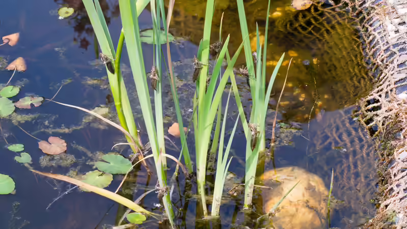 Die Invasion der Aliens_2 von Acki50 (37)