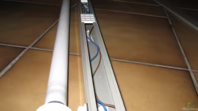 Die Kabel sind angeschlossen und er funktioniert von Delta (21)