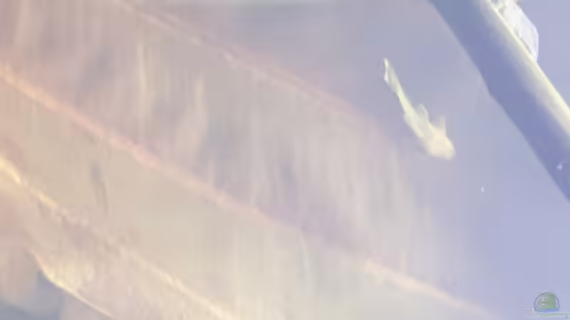 Die Kinder sind auch schon flott unterwegs. von Christian Roger Rohrer (17)