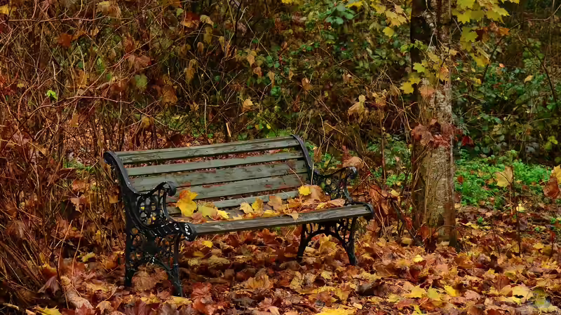 Die Klangwelt des Herbstes