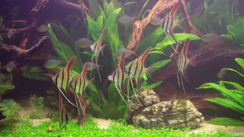 die kleine Gruppe am 2. Tag (28.12.07) von Richard Gärtner (3)