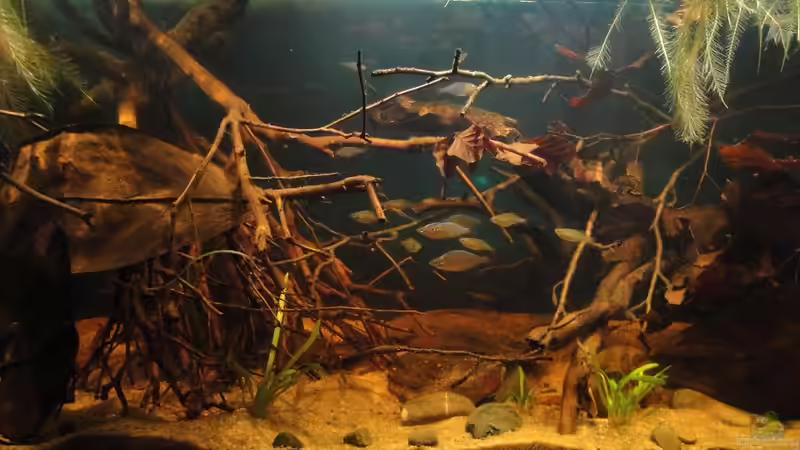 die kleinen am 13.11.13 von Laura (23)