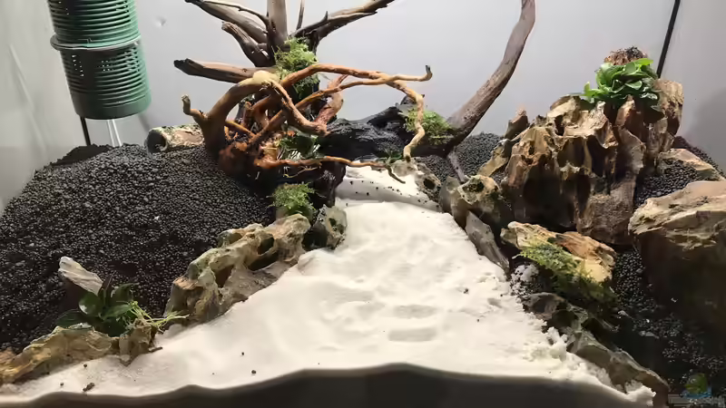 die kleinen Steine trennen Soil vom Sand von Maguma (10)