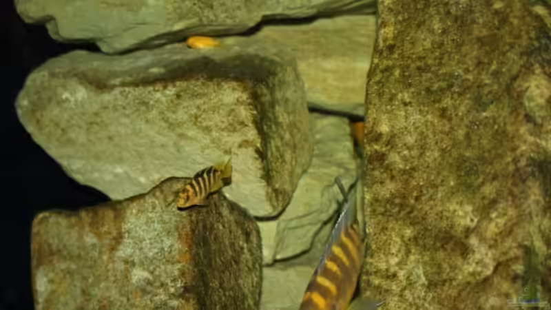 die Kleinen von JOHN (34)