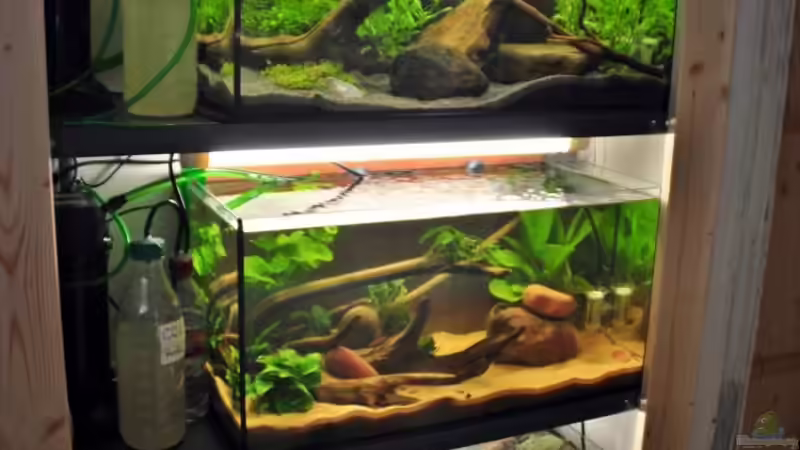 die Komplette Anlage von stefan1979 (4)