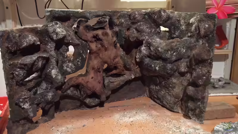 Die komplette Rückwand, die Seitenwänden werden ebenfalls verkleidet. von Dülla (12)