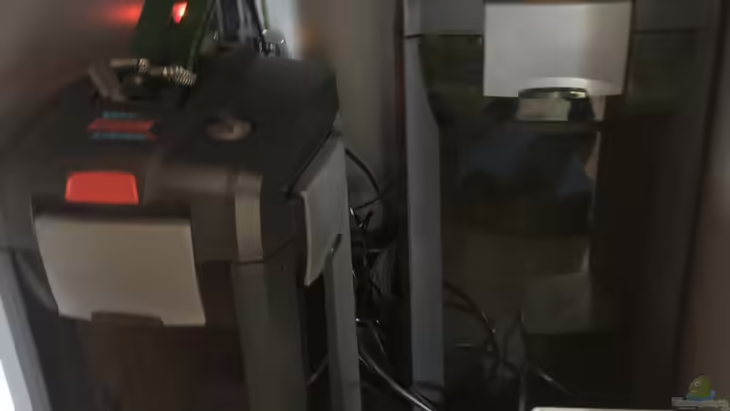 Die Kraft der 2 Herzen von Holsch805 (9)