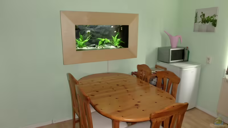 Die Küche von The BugZ (1)