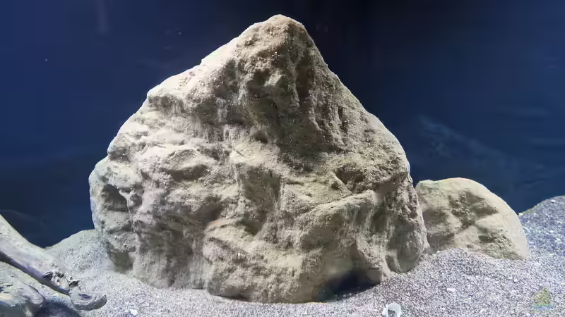 Die künstlichen Stein Nachbildungen von Berlin Rock hier im Becken von Florian Bandhauer (43)