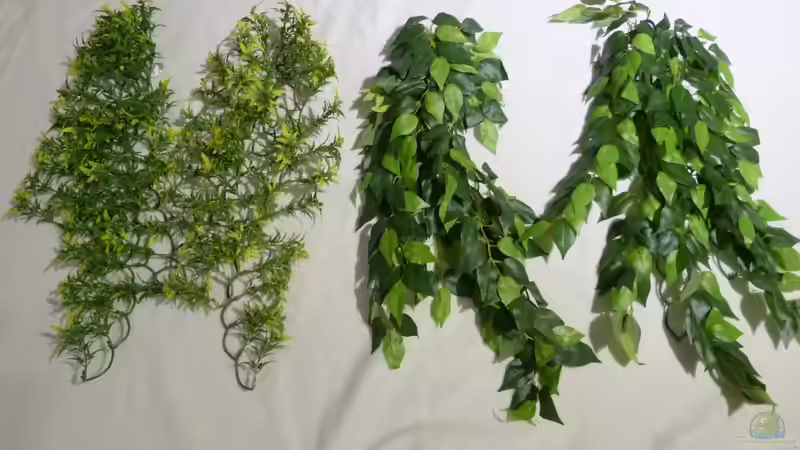 die künstlichen Zweige von ~Marco~ (37)