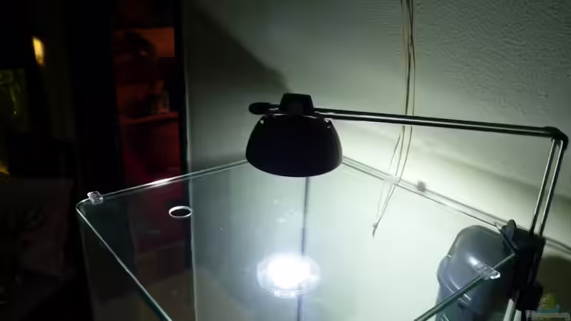 Die LED Lampe von Josef Braun (27)