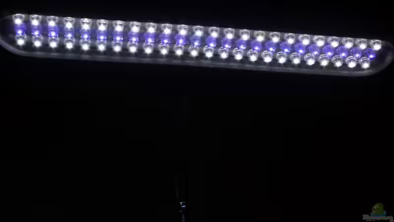 die LED-Leuchte von Falk (3)