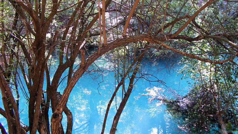 Die letzte Reise im Mai 2011-Die Heimat des vom Aussterben bedrohten Karpfenfisches "Gizani" (Ladigesocypris ghigii)