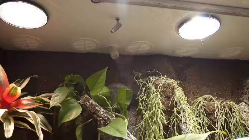 Die Lichtecke mit eingebauten Reflektoren für die Leuchtmittel von Hoppe-Terrarienbau (12)